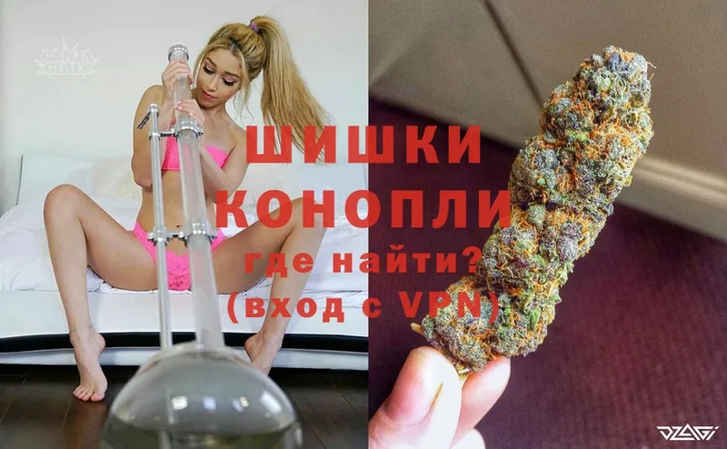 где купить наркоту  Богородск  Шишки марихуана White Widow 